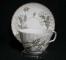 Royal Adderley Lyncroft Cup & Saucer