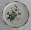 Noritake Conservatory  7915 Plate - Salad