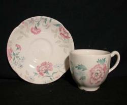Johnson Brothers Lynton Cup & Saucer