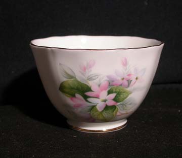 Royal Adderley Mayflower Sugar Bowl - Small/Open