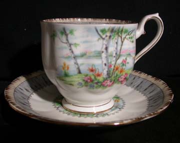 Royal Albert Silver Birch Cup & Saucer - Large