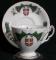 Royal Adderley Newfoundland Tartan Cup & Saucer - Tall