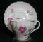 Johnson Brothers Regency - Pink Flowers/Green Leaves/Silver Edge Cup & Saucer