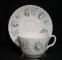 Minton Spring Valley Cup & Saucer