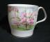 Royal Albert Blossom Time Mug