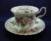 Royal Albert Flower Of The Month Series Cup & Saucer - December - Christmas Rose 
