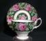 Royal Albert Needle Point Cup & Saucer