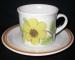 Royal Doulton - Lambethware Summer Days LS1002 Cup & Saucer