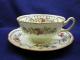 Royal Doulton The Beaufort Cup & Saucer