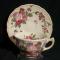 Royal Doulton Wildflower D5273 Cup & Saucer
