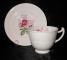 Spode Lady Anne Cup & Saucer