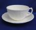 Wedgwood Countryware Cup & Saucer
